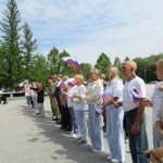 Проект  «Дни СВОих в учреждениях культуры»